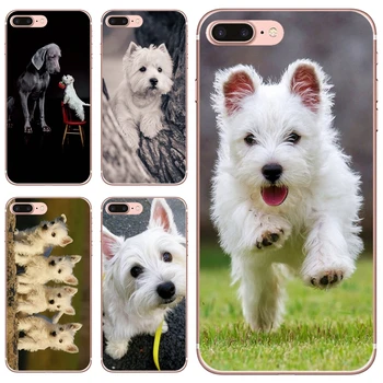 Telefon Esetében West Highland White Terrier Kutya Skócia Galaxy A10 a30-as A40 A50 A60, A70 a31 a12 a41 a51-es a51-es a20e a21s a32 a52 a72