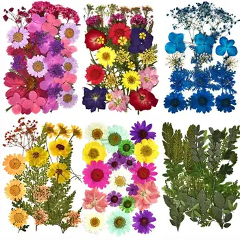 DIY Szárított Virágok Gyanta Penész Tömések UV Expoxy Virág Nail Art Préselt Virágok lakberendezés Kézműves